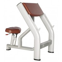 Тренажер Bronze Gym H-040A скамья Скотта