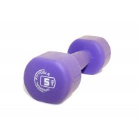 Гантель Original FitTools 5 кг FT-NDB-5