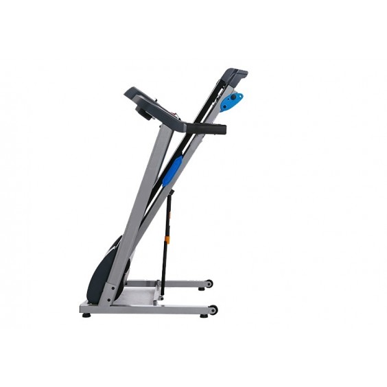 Беговая дорожка Royal Fitness RF-1