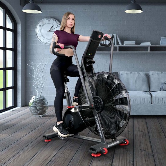 Велотренажер Schwinn Airdyne AD8 (100475)